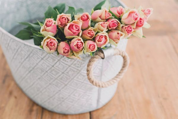 Pink roses in a white vase